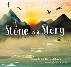 a stone is a story book cover image