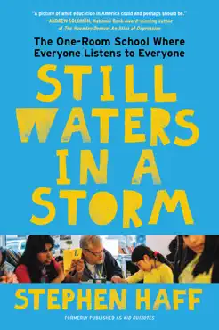 still waters in a storm book cover image