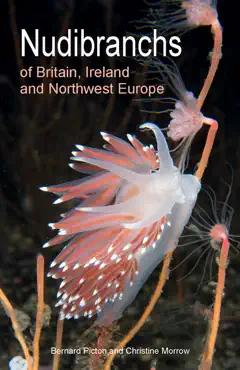 nudibranchs of britain, ireland and northwest europe book cover image