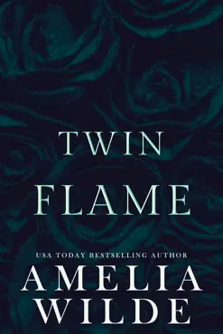 twin flame book cover image