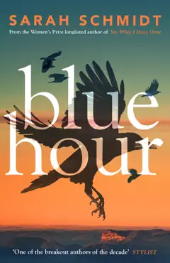 blue hour imagen de la portada del libro