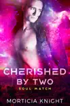 Cherished by Two synopsis, comments