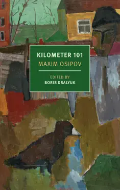 kilometer 101 book cover image