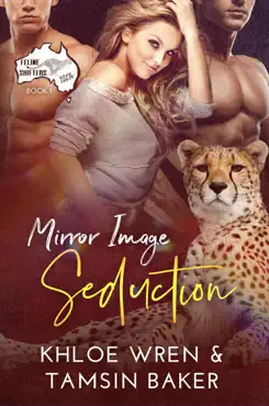 mirror image seduction book cover image