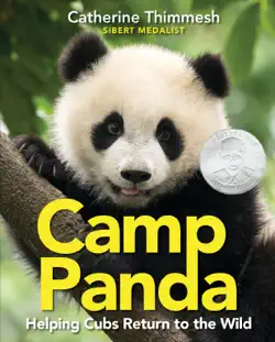 camp panda book cover image