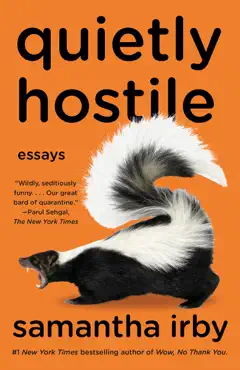 quietly hostile book cover image