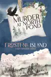 Murder at North Pond e-book