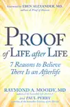 Proof of Life after Life synopsis, comments