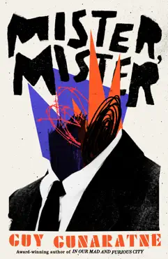 mister, mister book cover image