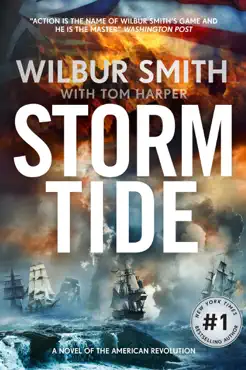 storm tide book cover image