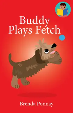 buddy plays fetch book cover image