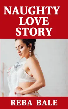 naughty love story book cover image
