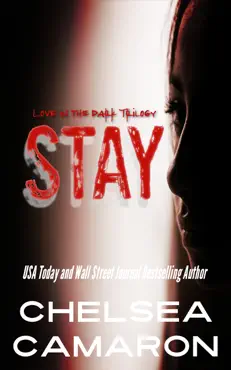 stay book cover image