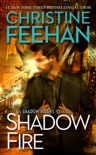 Shadow Fire book summary, reviews and download