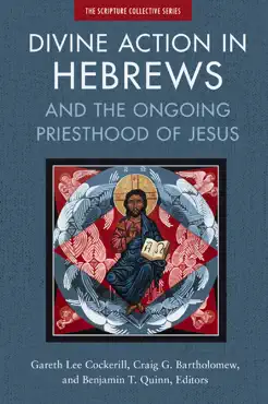 divine action in hebrews book cover image