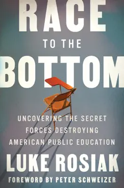 race to the bottom book cover image
