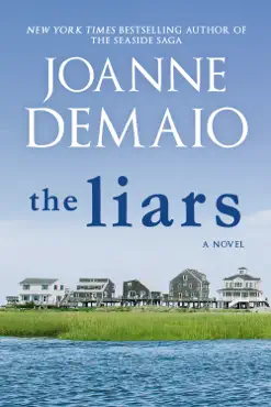the liars book cover image