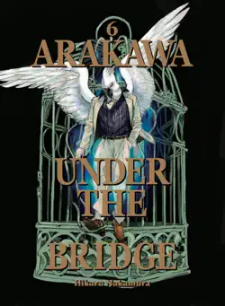 arakawa under the bridge 6 book cover image