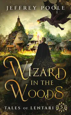 wizard in the woods book cover image