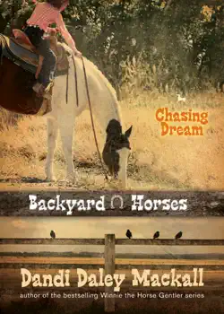 chasing dream book cover image
