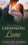Choosing Love synopsis, comments