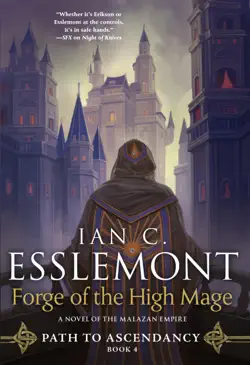 forge of the high mage book cover image