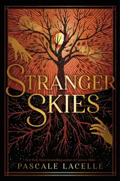 stranger skies book cover image