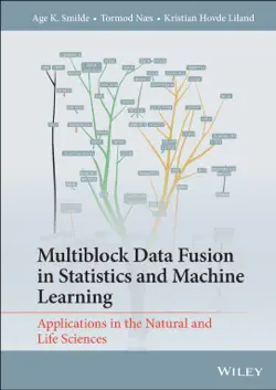 multiblock data fusion in statistics and machine learning book cover image