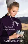 The Amish Single Mother synopsis, comments