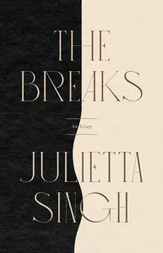 the breaks book cover image