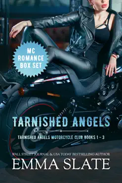 tarnished angels mc romance box set book cover image