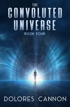 the convoluted universe book 4 book cover image