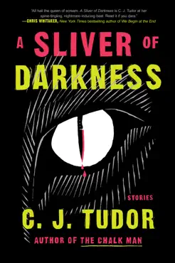 a sliver of darkness book cover image