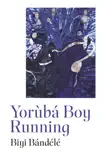 Yorùbá Boy Running sinopsis y comentarios