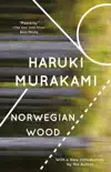 Norwegian Wood synopsis, comments