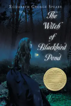the witch of blackbird pond book cover image