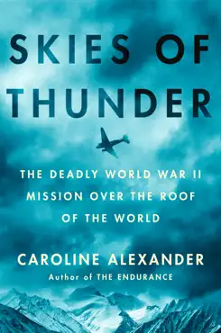 skies of thunder book cover image