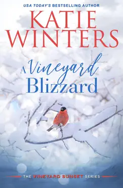 a vineyard blizzard book cover image