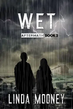 wet book cover image