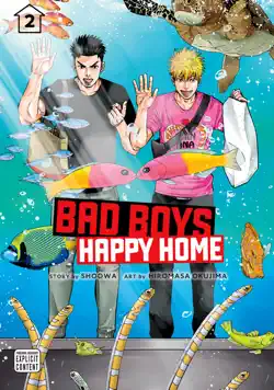 bad boys, happy home, vol. 2 book cover image