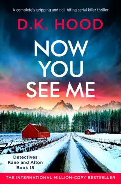 now you see me book cover image