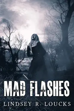 mad flashes book cover image