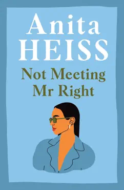 not meeting mr right book cover image