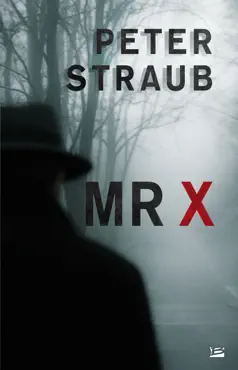 mr x book cover image