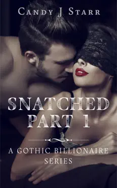 snatched - part 1 book cover image
