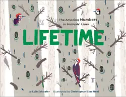 lifetime book cover image