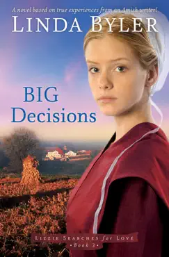 big decisions book cover image