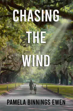 chasing the wind book cover image