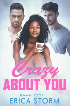 crazy about you book cover image