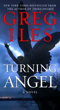 turning angel book cover image